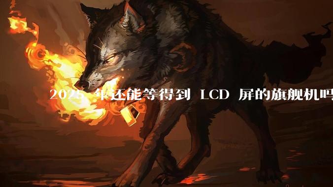 2025 年还能等得到 LCD 屏的旗舰机吗？