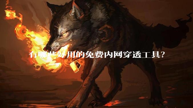 有哪些好用的免费内网穿透工具？