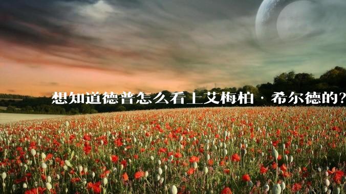 想知道德普怎么看上艾梅柏·希尔德的？